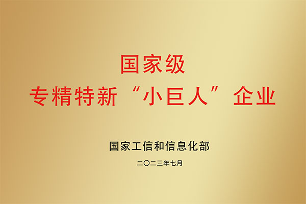 國家級 專精特新“小巨人”企業
